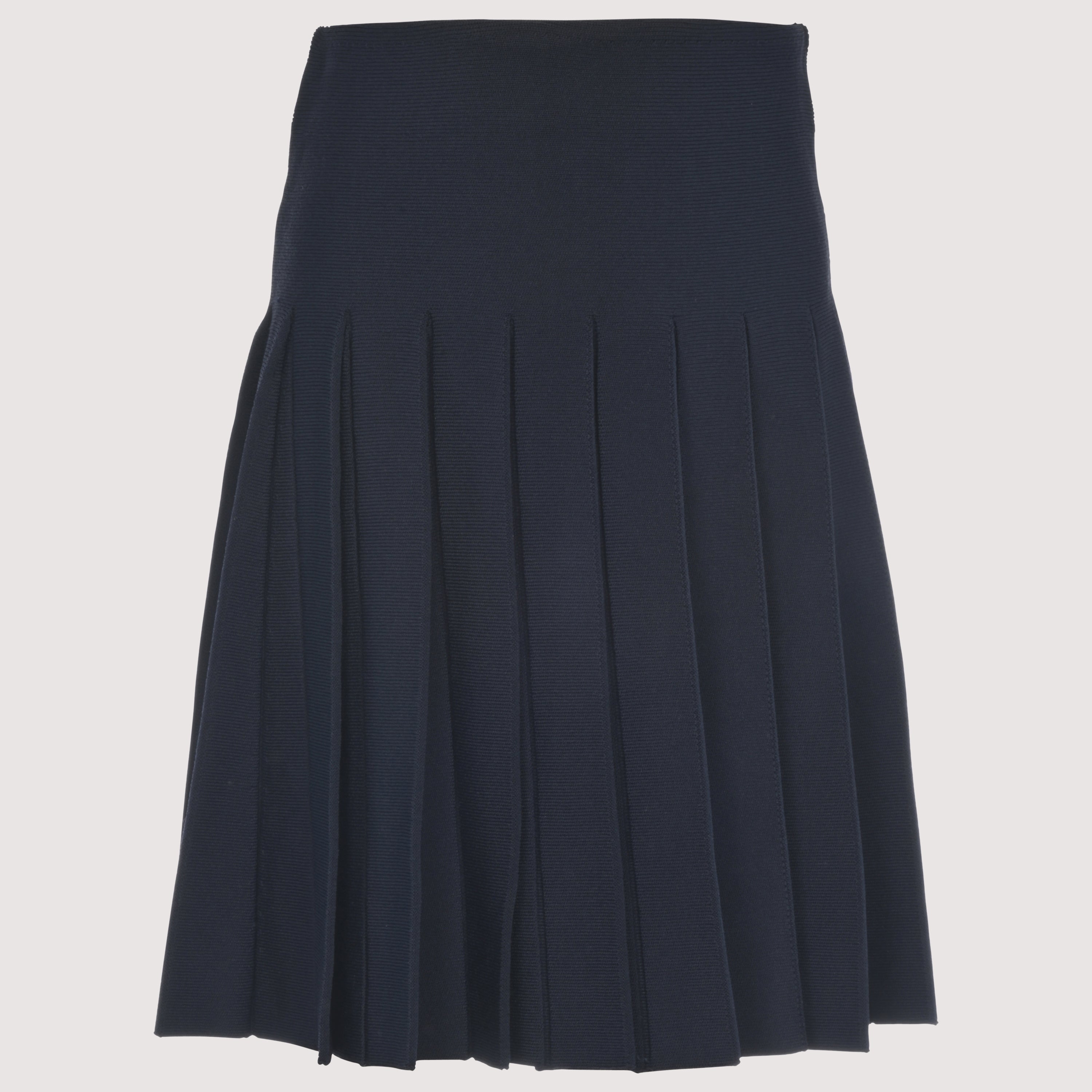 Silk Knit Pleated Skirt