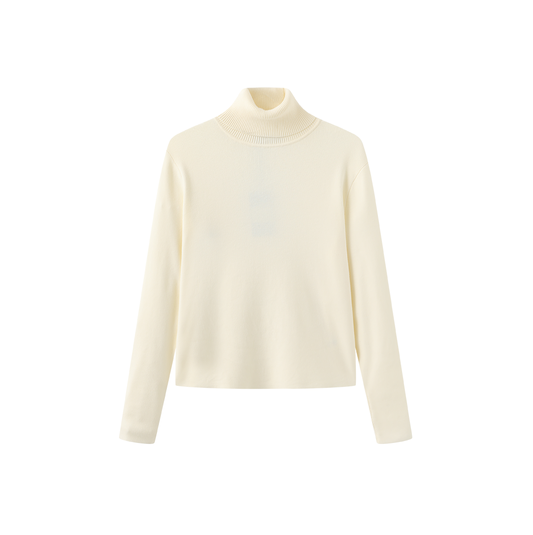 Fullin Silk Knit Turtleneck