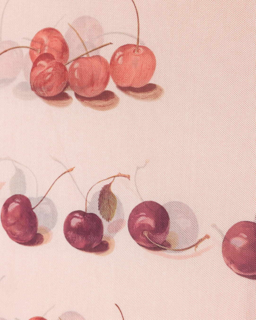 Ada Cherry Printed Mesh Top
