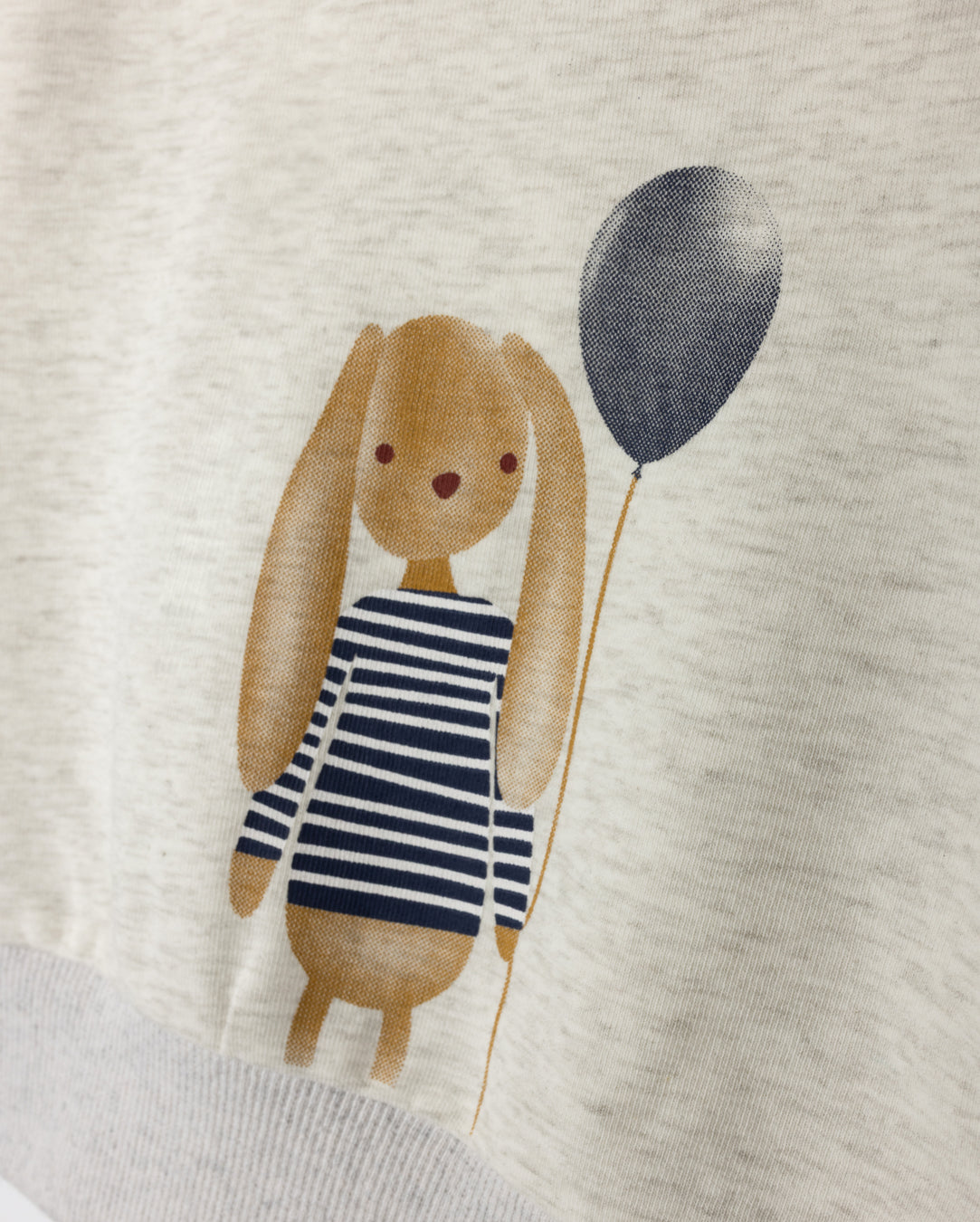 Puppy Print Boy Sweatshirt Set C-20782