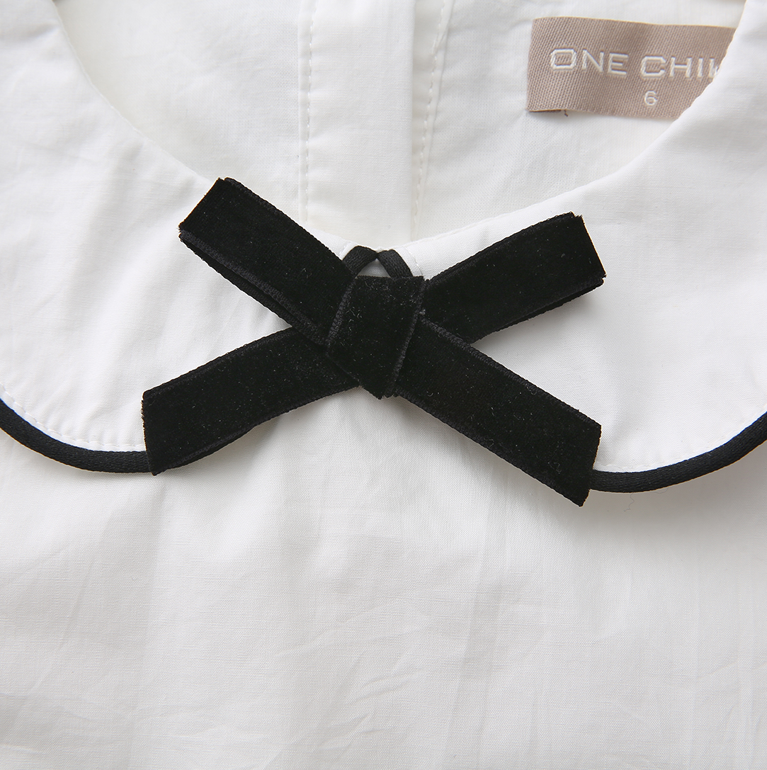 Seamed Trim Blouse