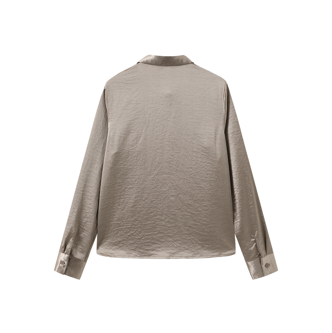Metallic Silk Blouse