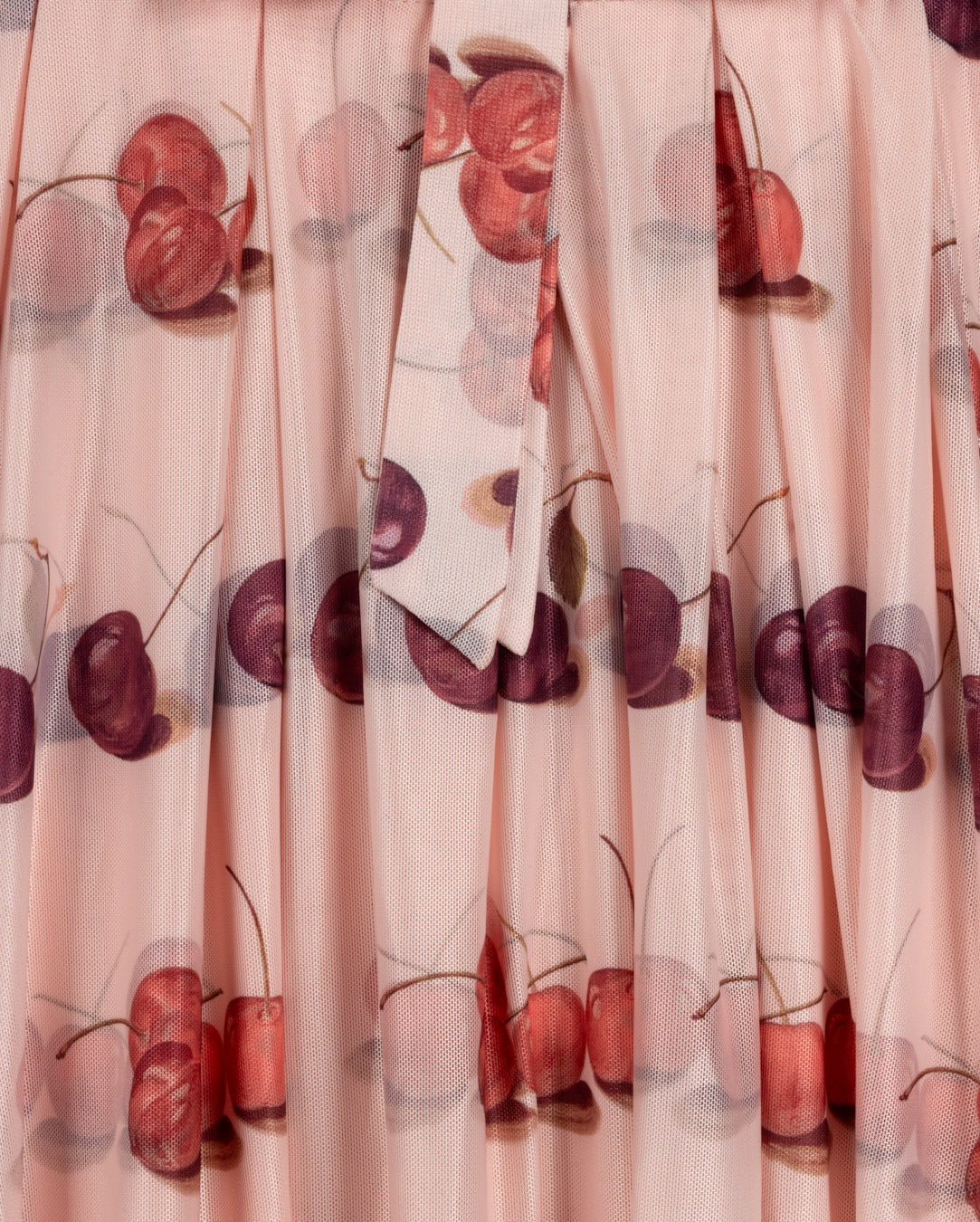 Ada Cherry Printed Mesh Skirt