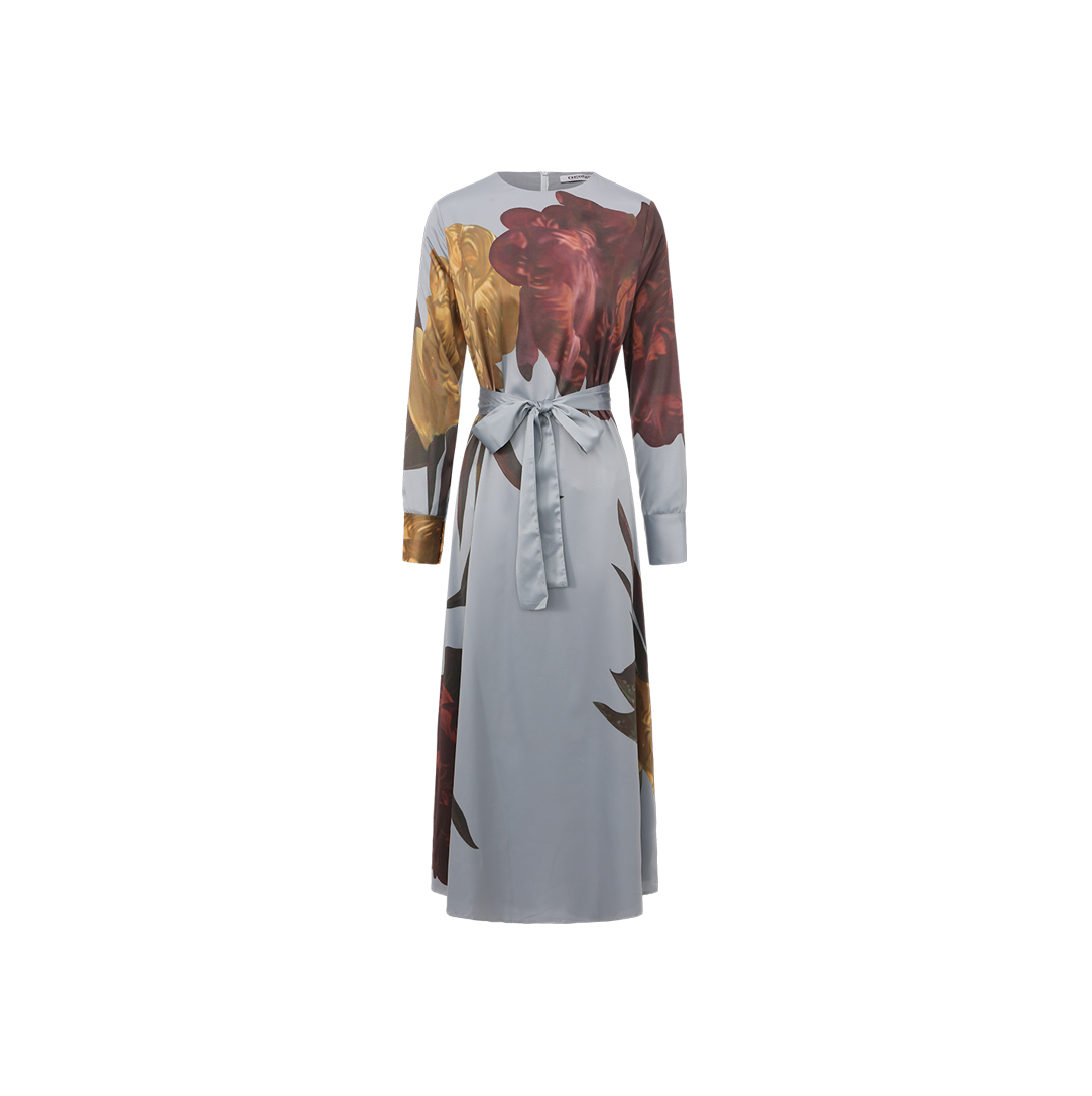 Silk Flower Printed Dress