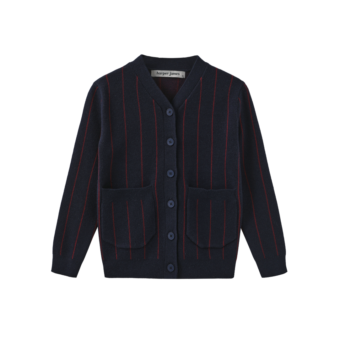 Pilro Pinstripe Knit Cardigan