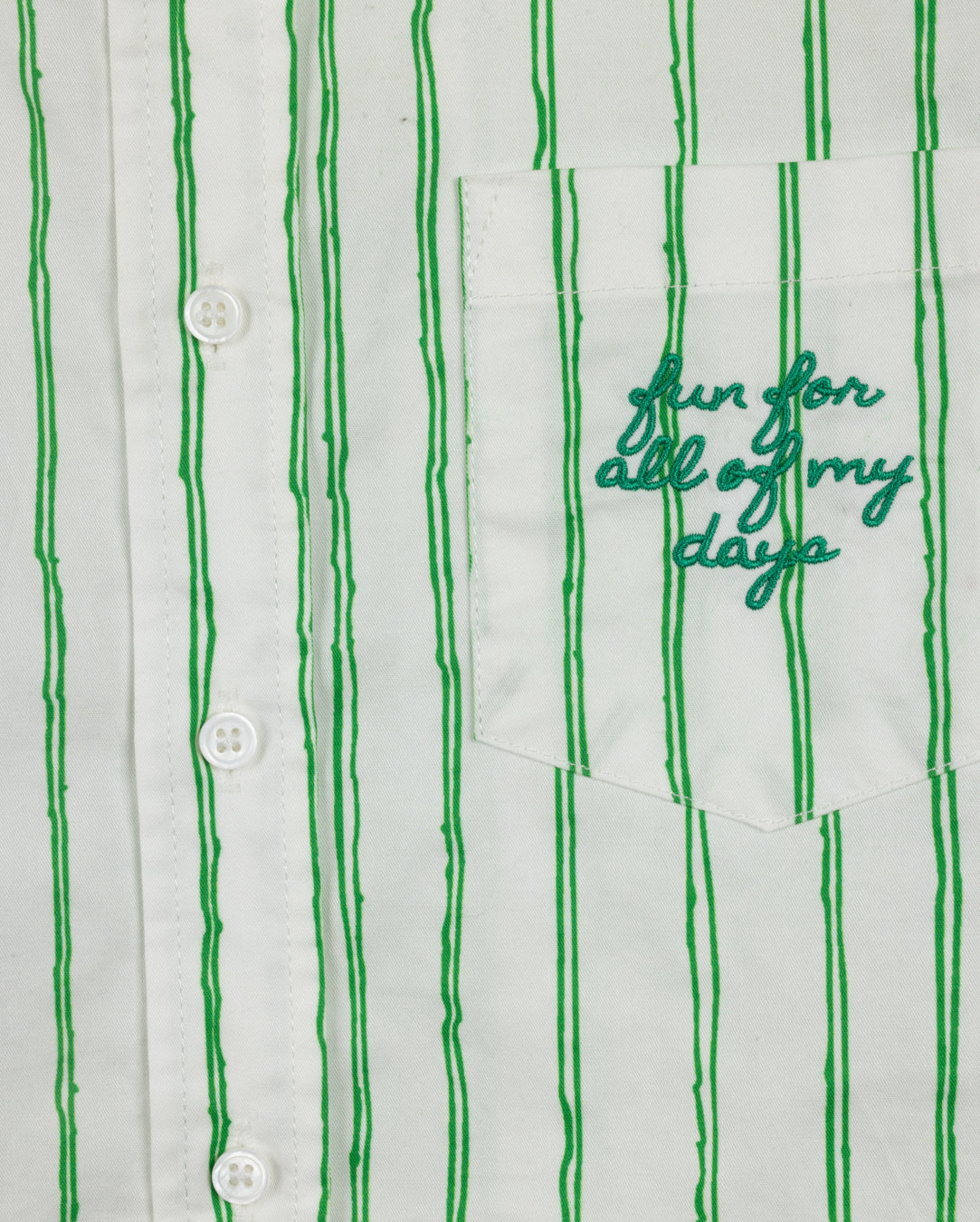 Sketch Pinstriped Embroidered Blouse