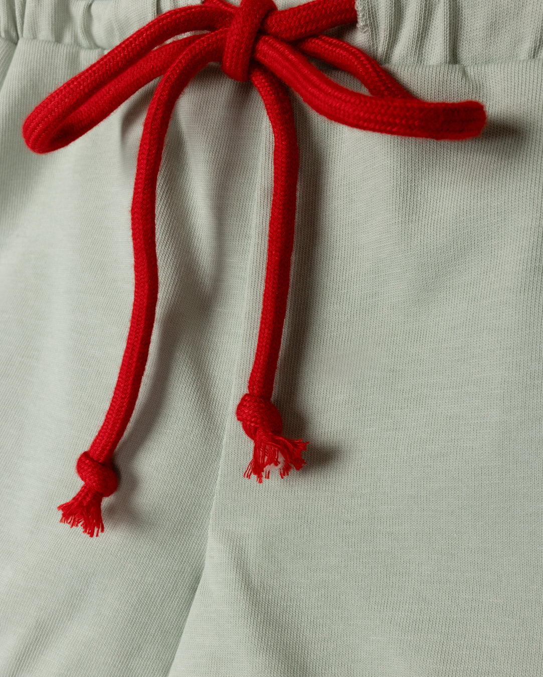 Margo Multi Colored Zipper Shorts