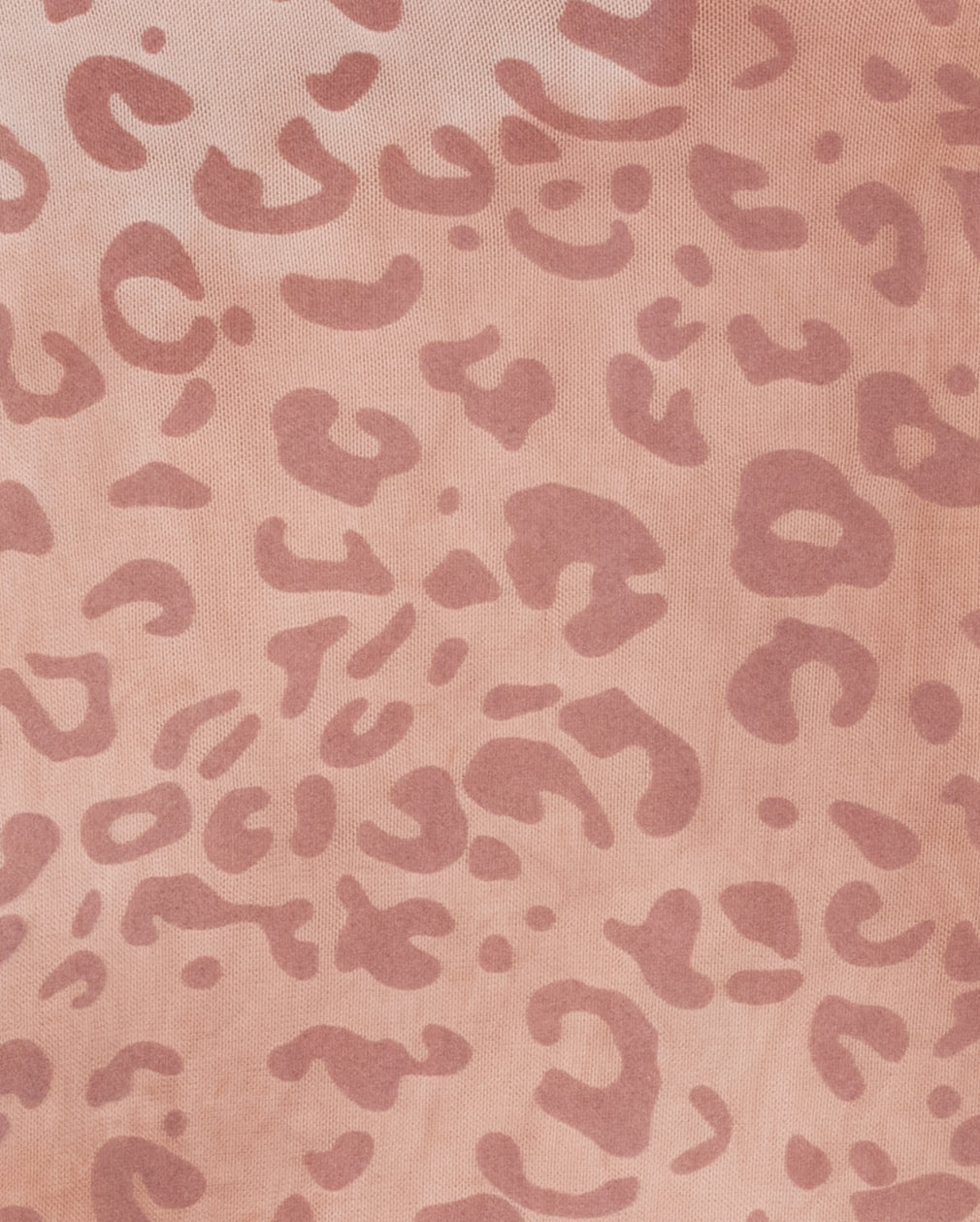 Brinley Leopard Mesh Print Turtleneck