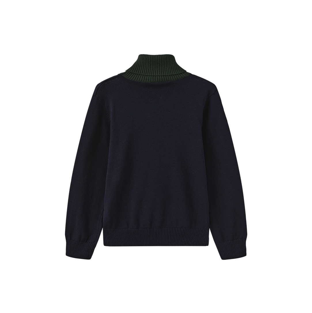 Tanvi Contrast Neck Turtleneck