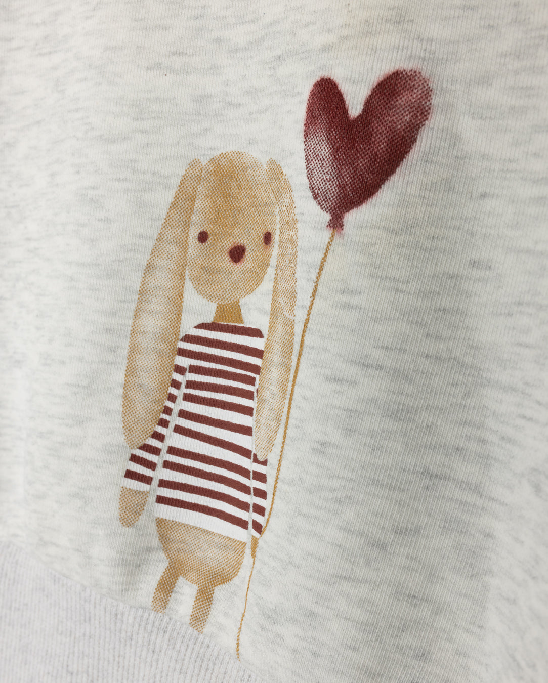 Puppy Print Girl Sweatshirt Set C-20781