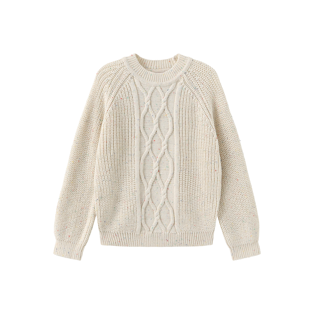 Marled Knit Cable Pattern Sweater
