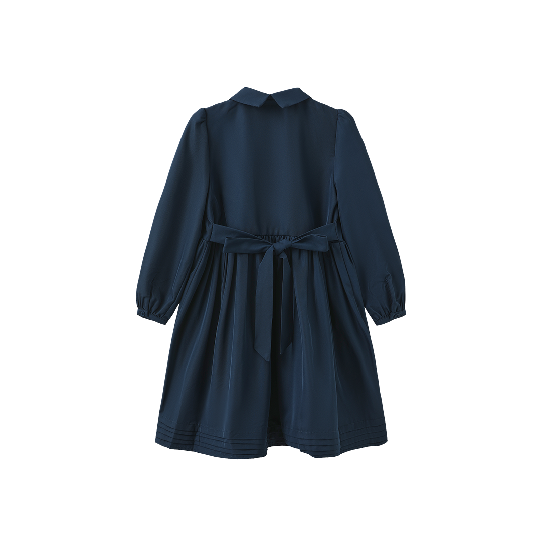 Pleated Detailed Waisted Dress