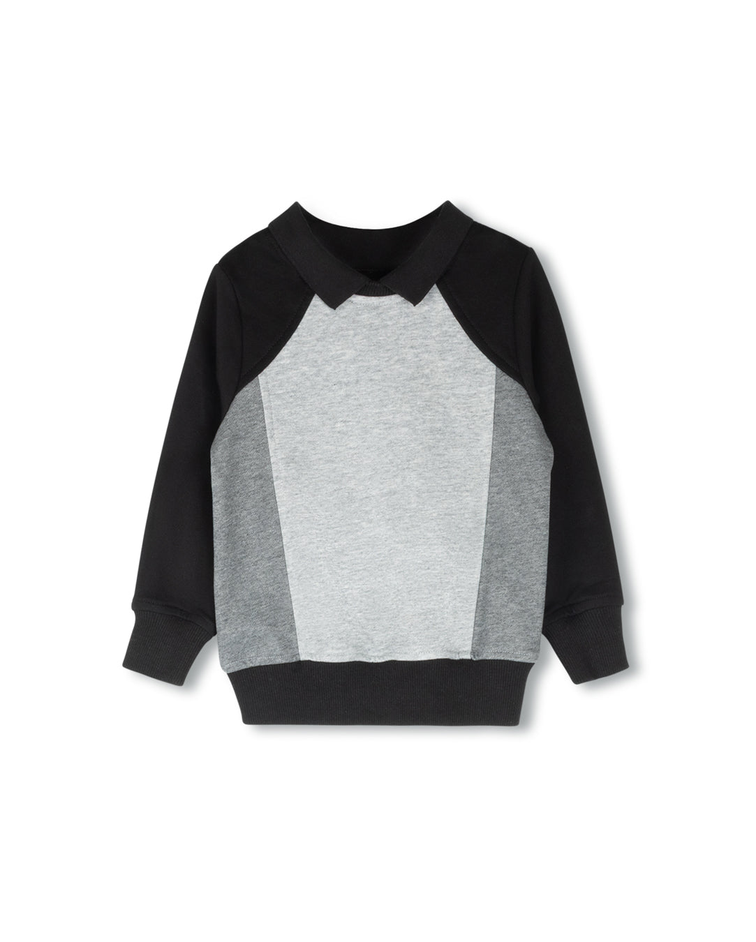 Color Block Polo C-22840