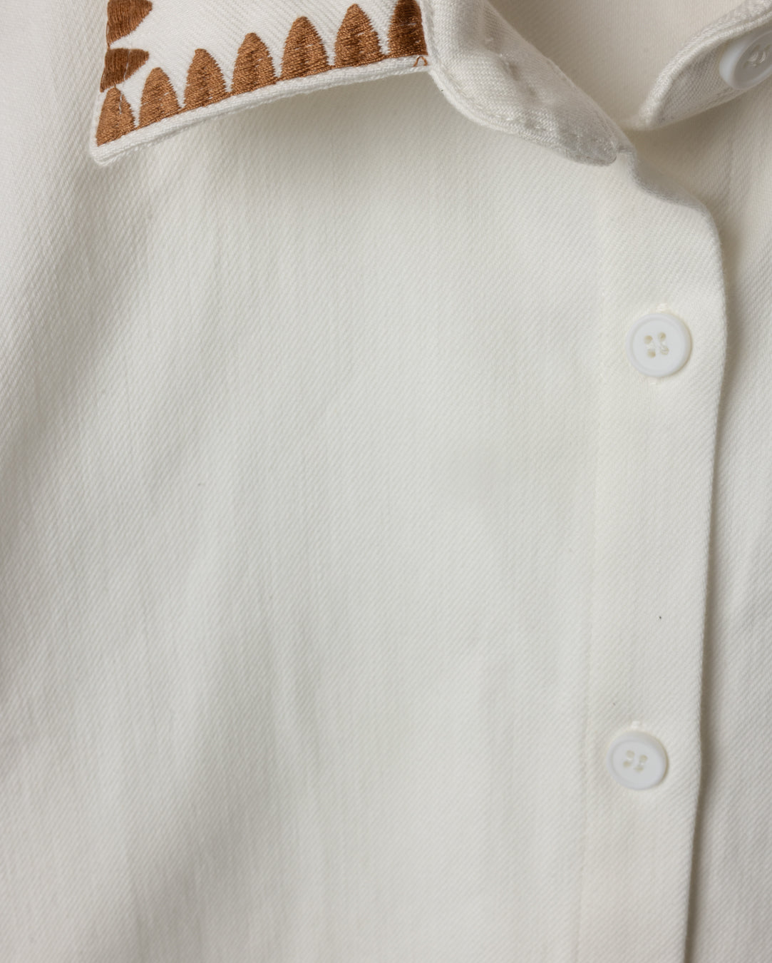 Denim Embroidered Button Down