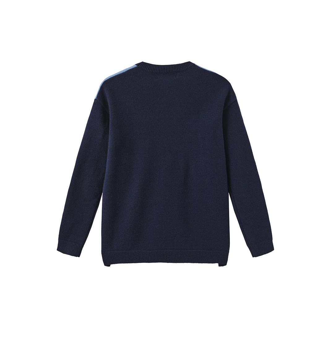 Colorblock Knit Sweater