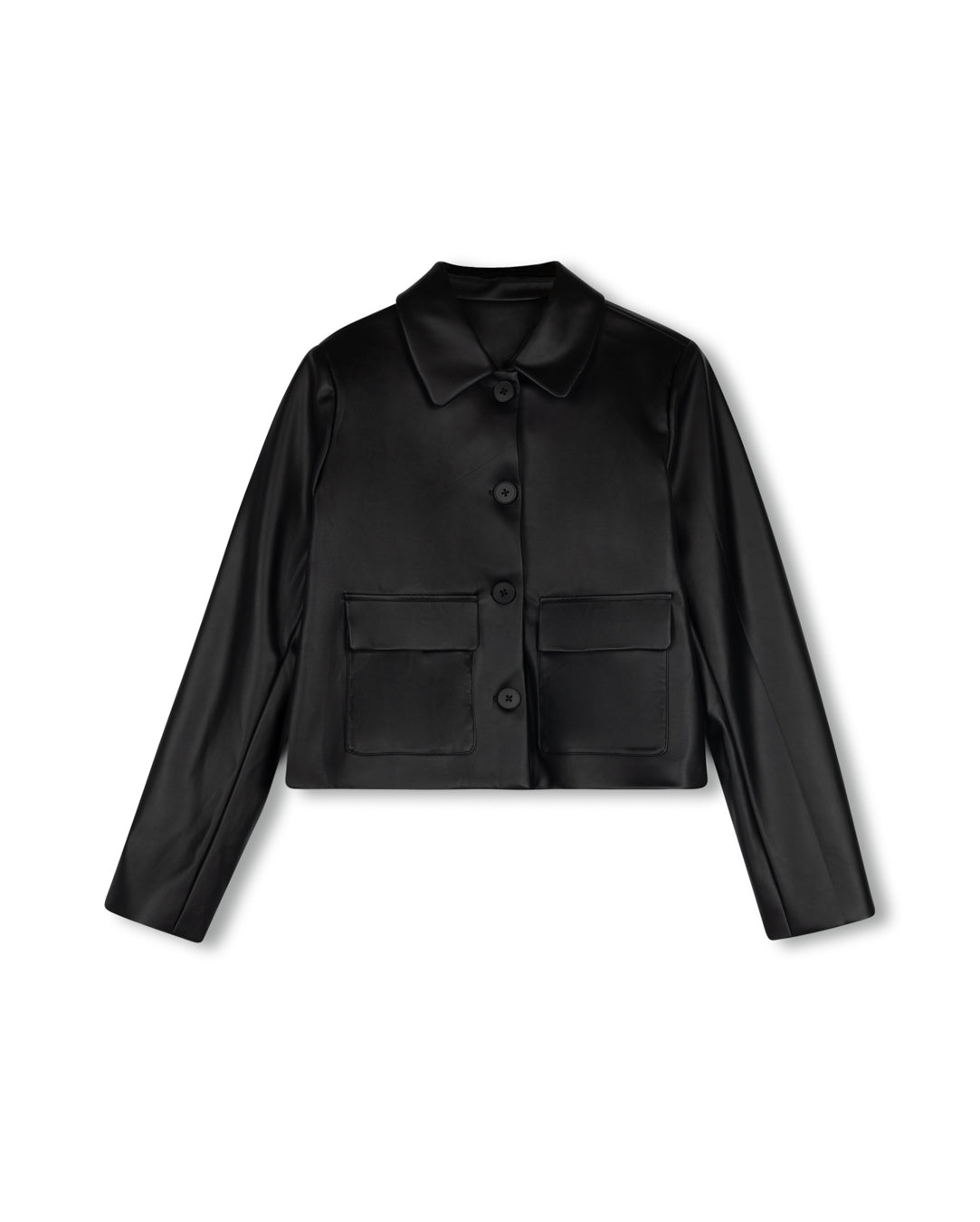 Leather Collared Jacket