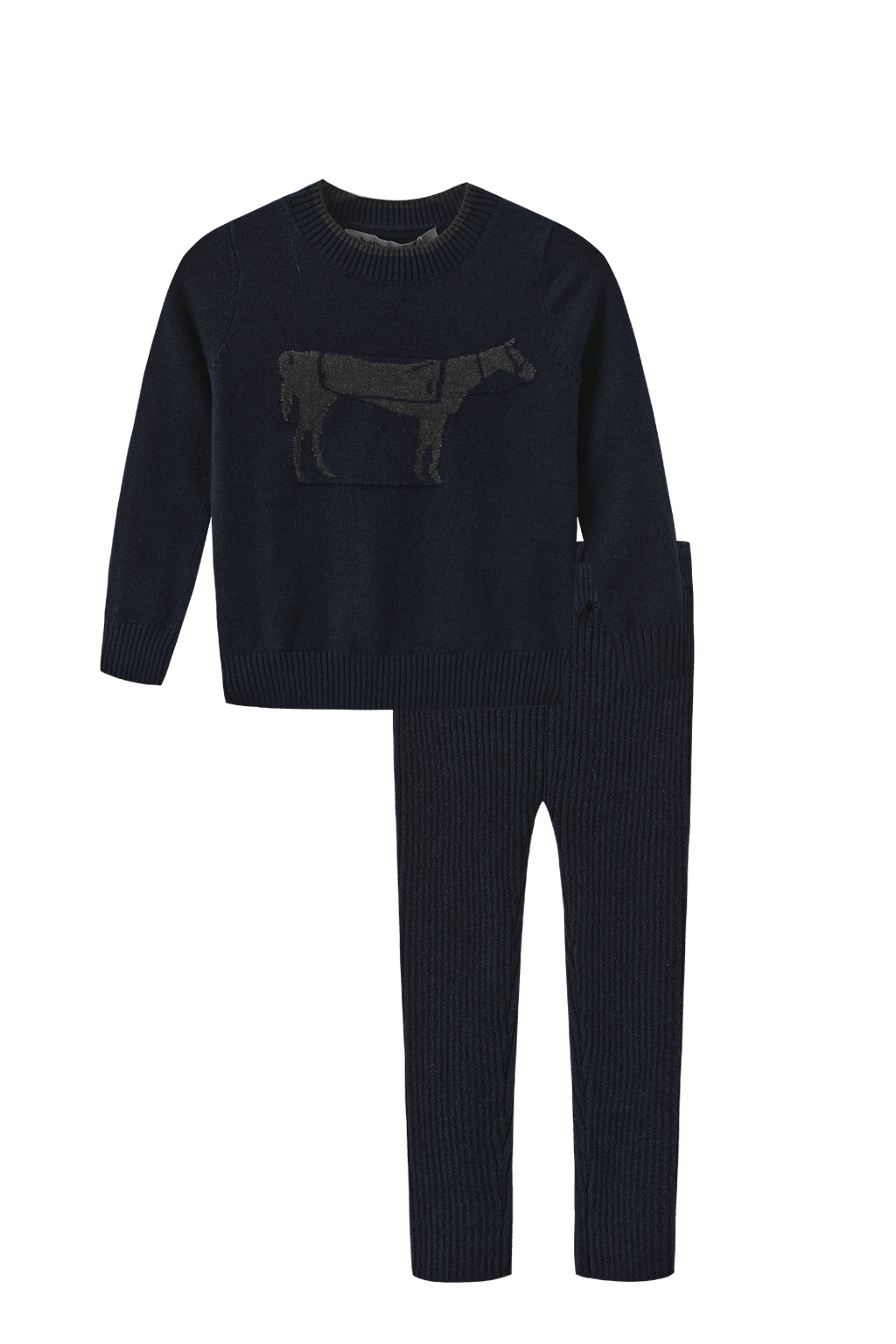 Horse Detail Knit Sweater Set