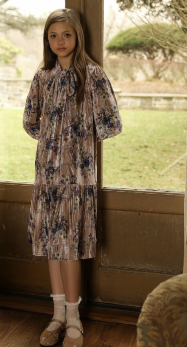 Velvet Bottom Tier Dress