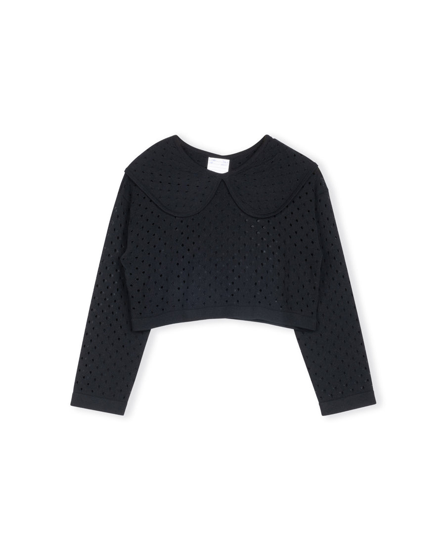 Pointelle Knit Cropped Collared Top