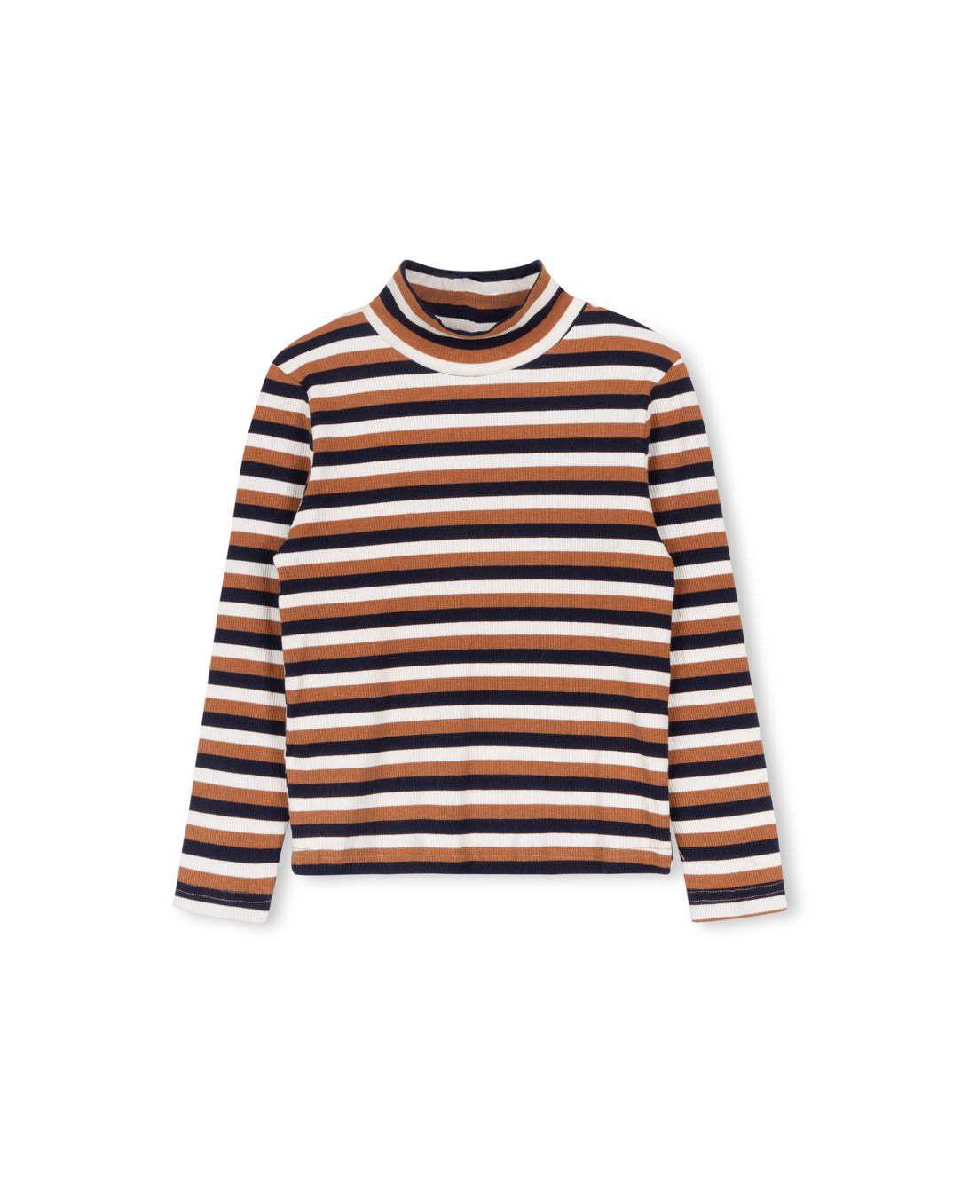 Pablo - Multi Colored Striped Turtleneck