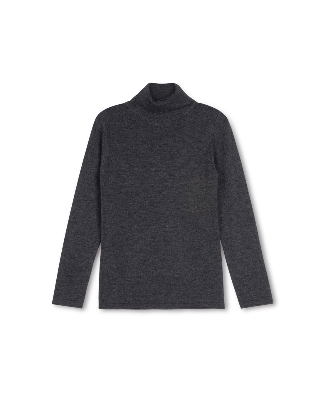 Fitted Flat Knit Turtleneck