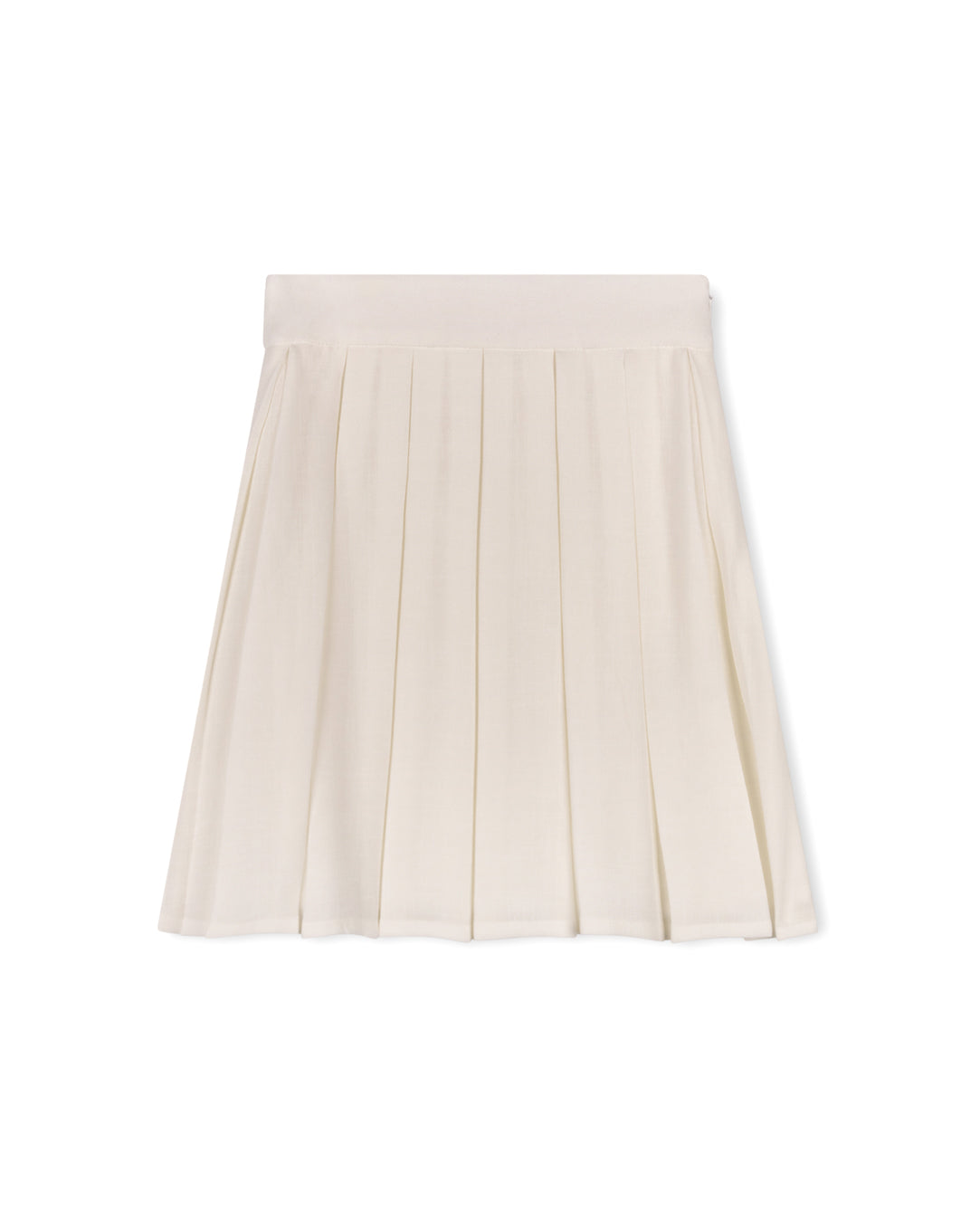 Rare Pleated Skirt