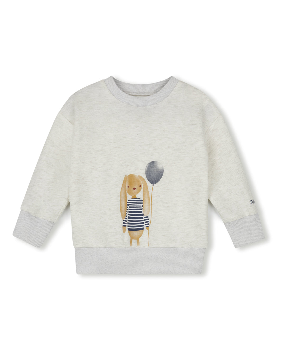 Puppy Print Boy Sweatshirt Set