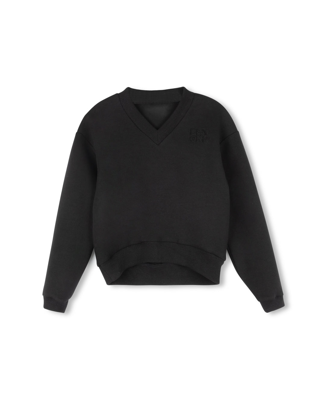 Logo V-neck Sweatshirt