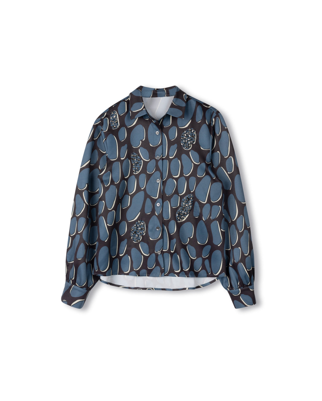 Ciro Jeweled Blouse