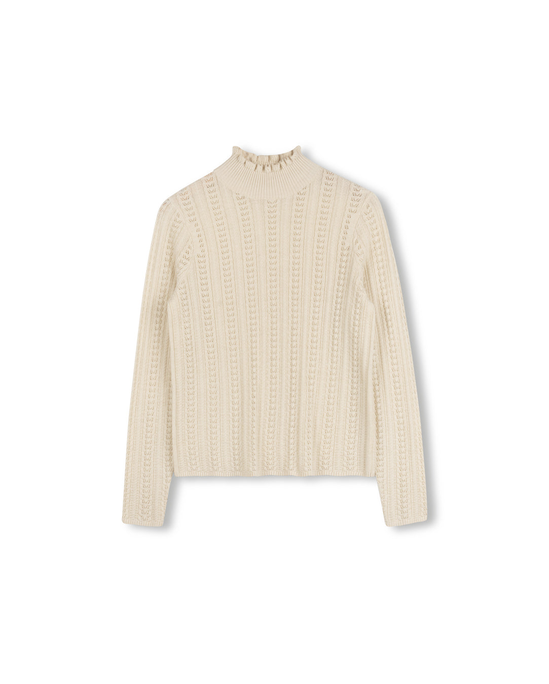 Dainty Detailed Turtleneck