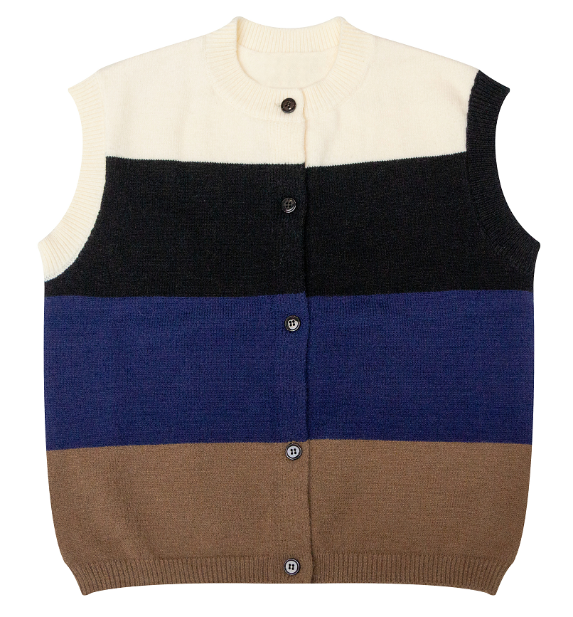 Multi Colored Vest