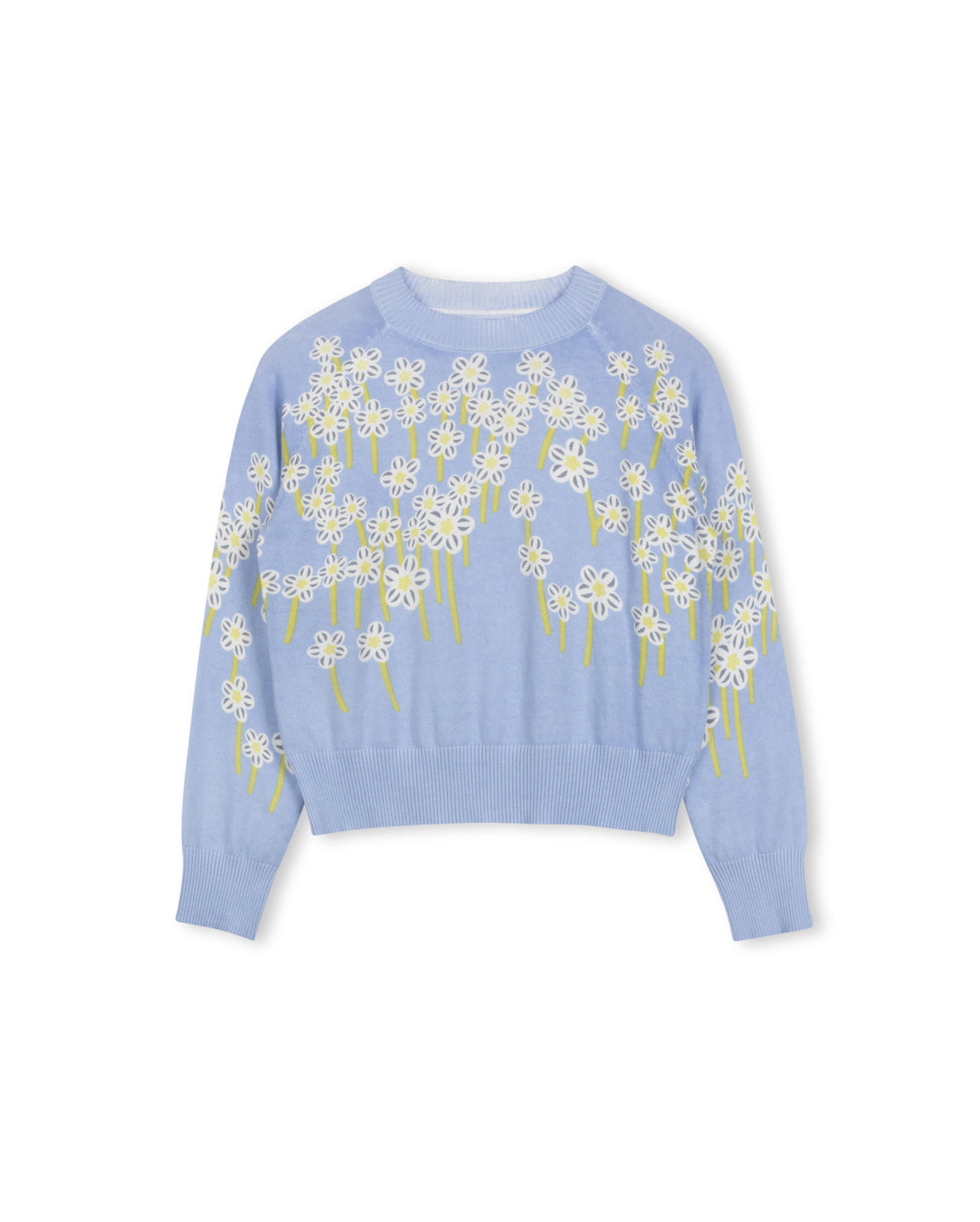 Bondy Cotton Knit Sweater