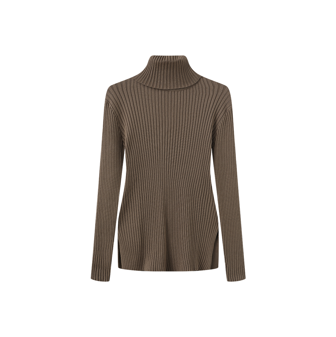 Wide Ribbed Knit Turtleneck