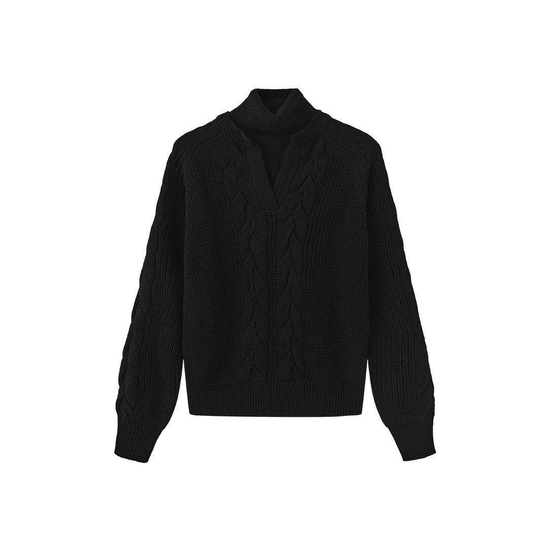 Tone On Tone Sweater Turtleneck