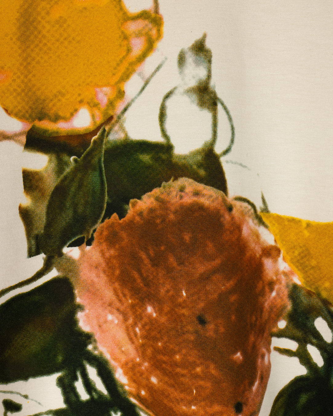 Bold Floral Print Sweatshirt