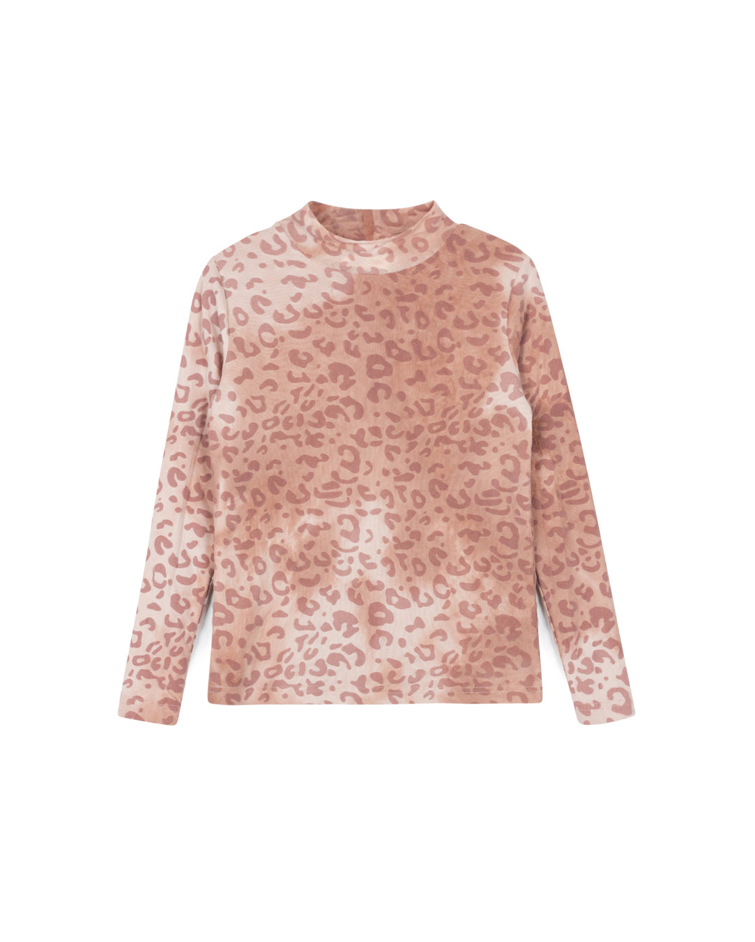 Brinley Leopard Mesh Print Turtleneck