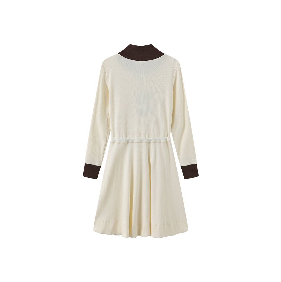 James Turtleneck Dress