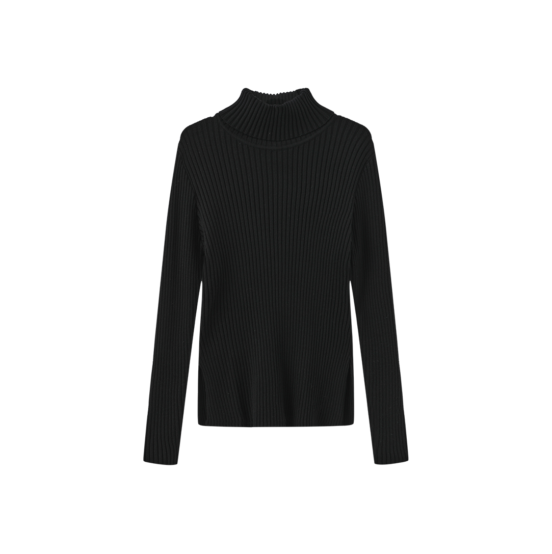 Wide Ribbed Knit Turtleneck