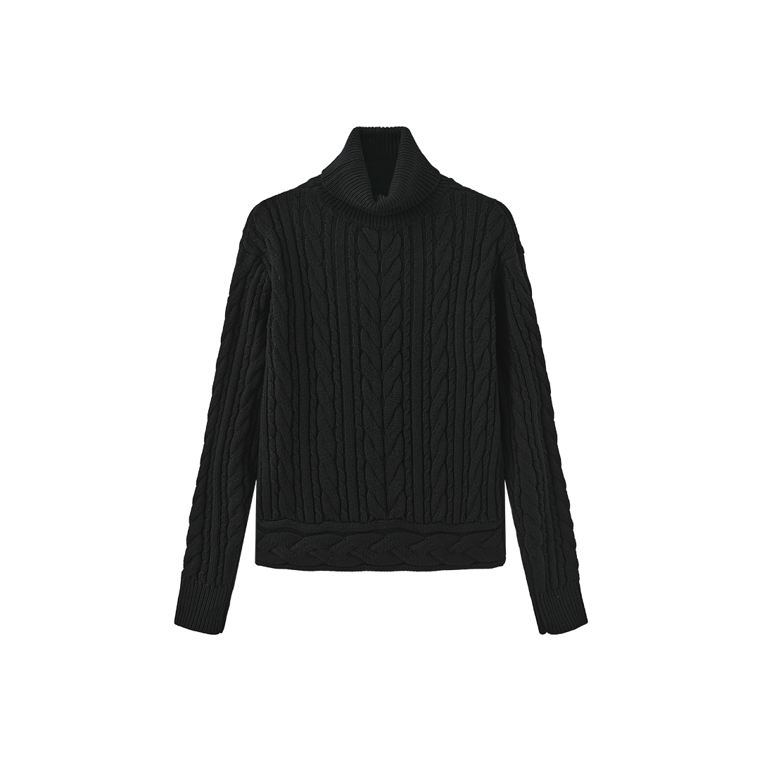 Cable Knit Thick Sweater