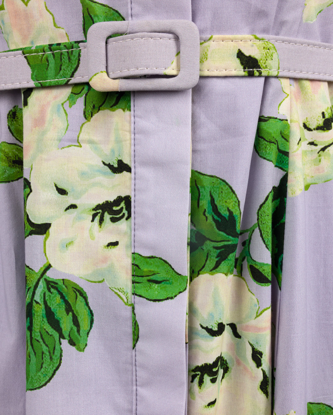 Dela Floral Print Belted Dress