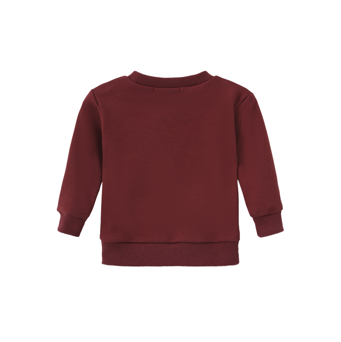 Sherpa Bow Bear Patch Sweatshirt Set