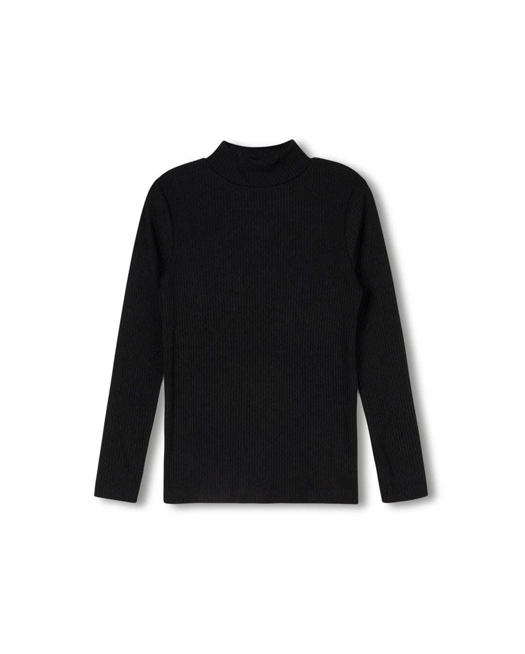 Long Sleeve Fitted Turtleneck