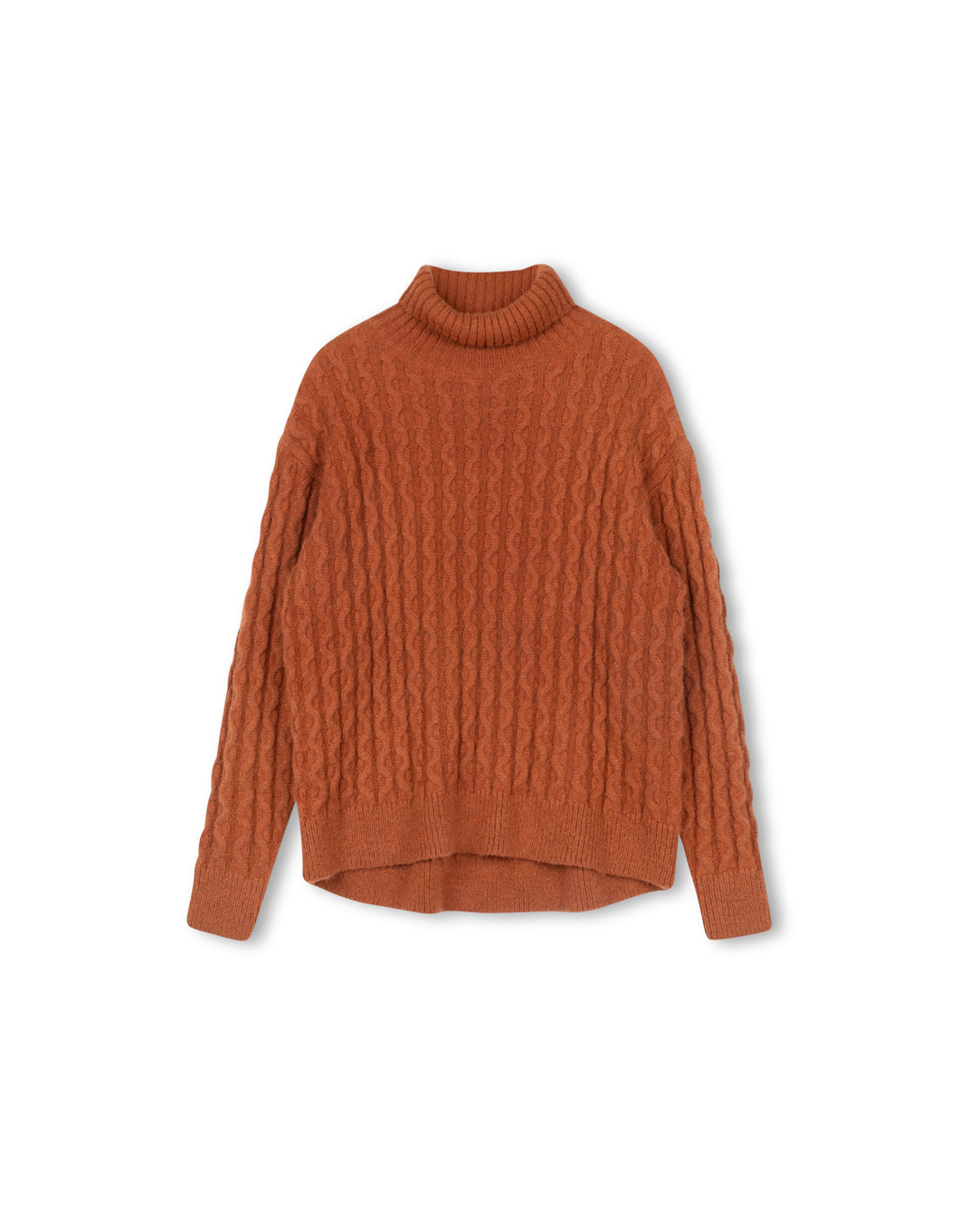 Oversized Knit Turtleneck