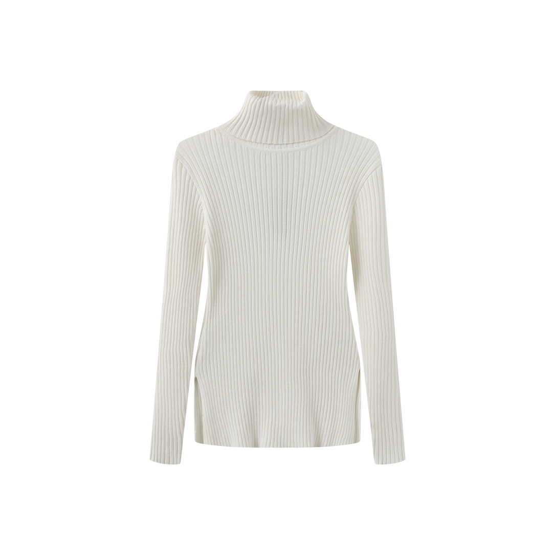 Wide Ribbed Knit Turtleneck