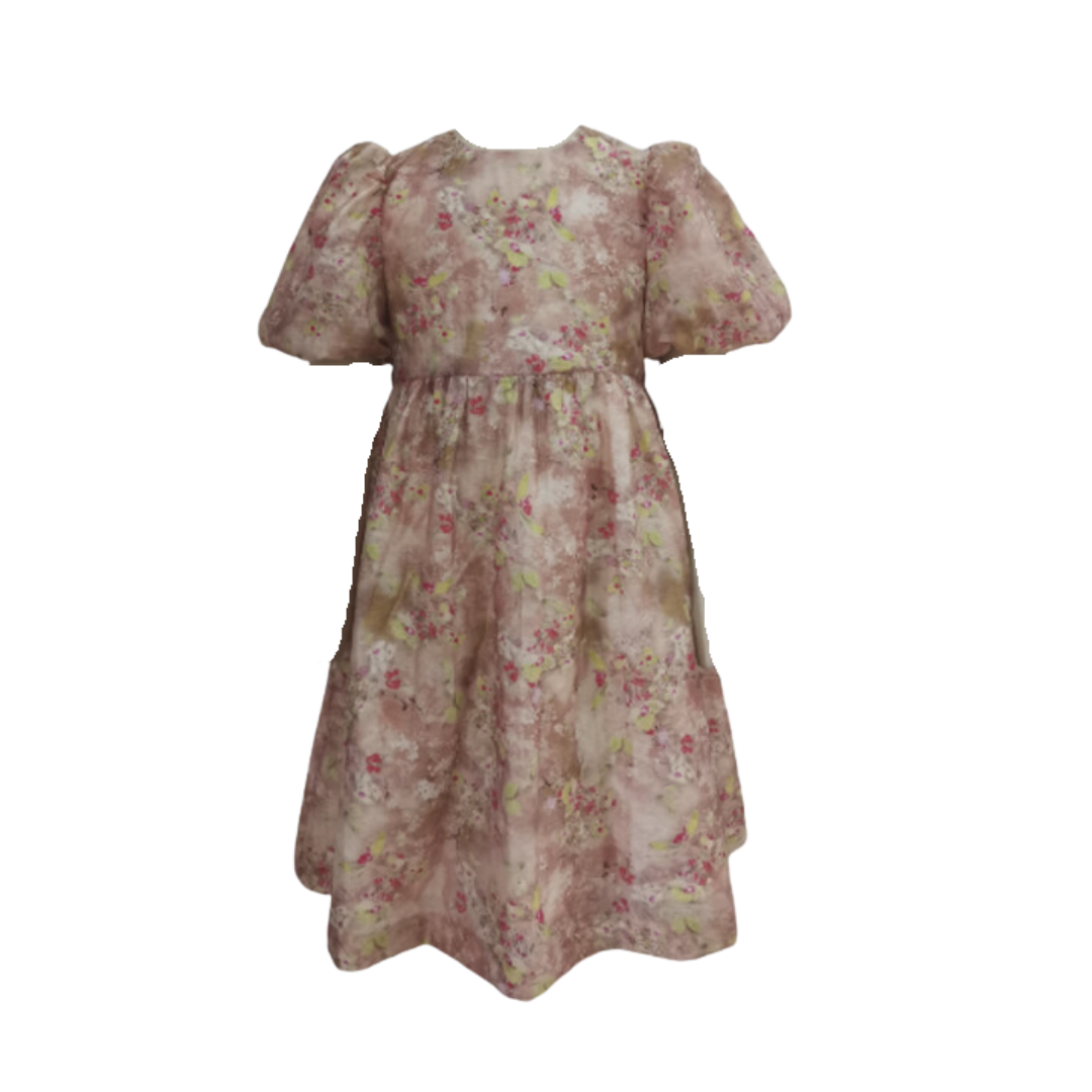 Flower Print Puff Sleeve Dress