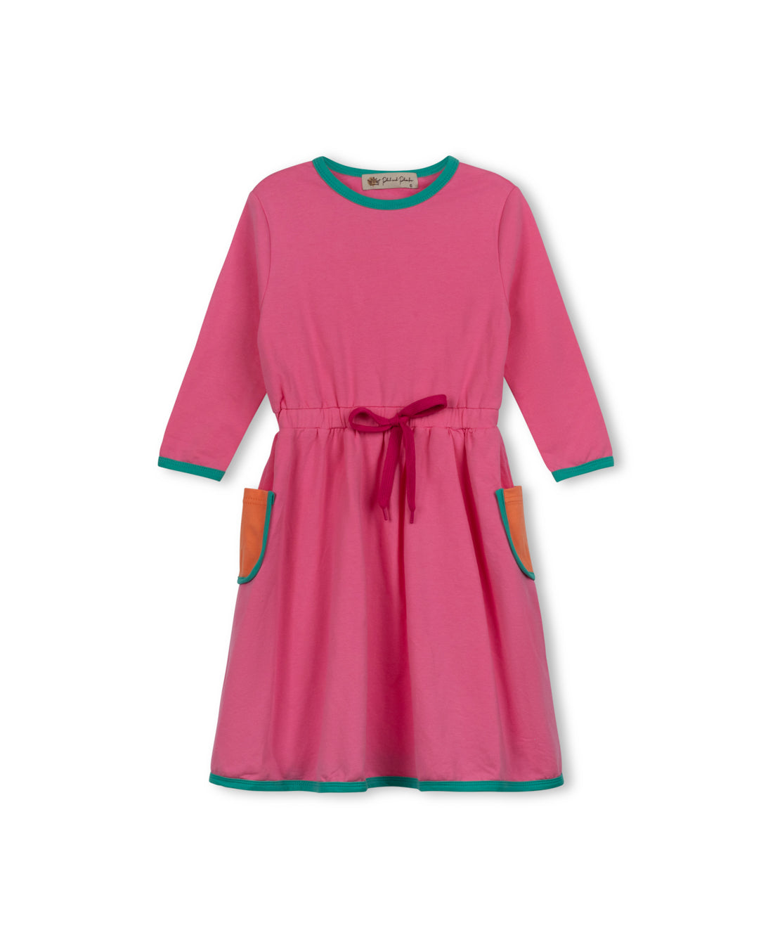Camila Colorblock Dress