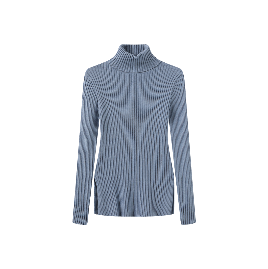 Wide Ribbed Knit Turtleneck